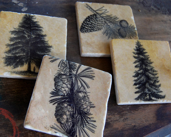 Pine Forest Coasters // Set of 4
