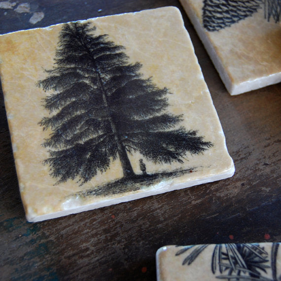 Pine Forest Coasters // Set of 4