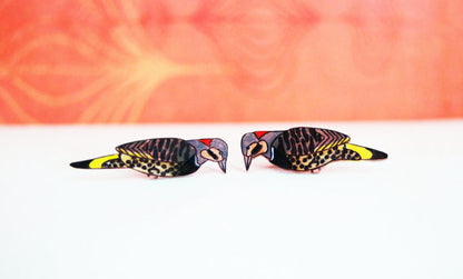 Northern Flicker Studs