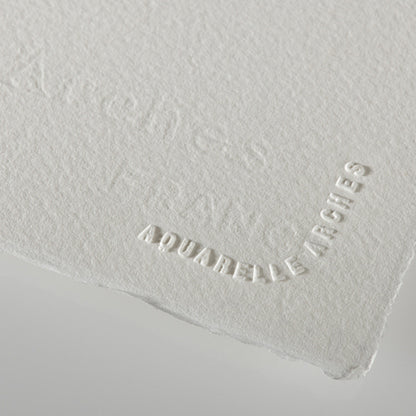 Professional Watercolor Paper Sheets 22x30"