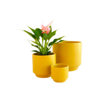 Parker Planter