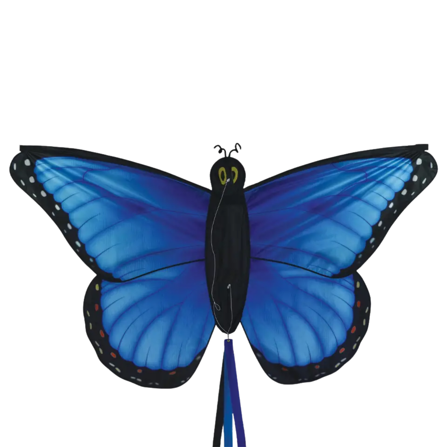 Blue Morpho Butterfly Kite