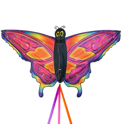 Fancy Butterfly Kite