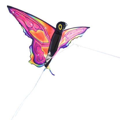 Fancy Butterfly Kite