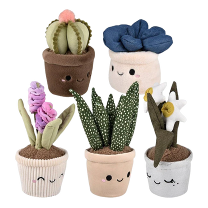 Plush Succulent