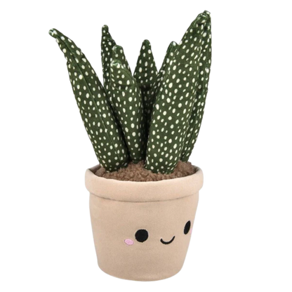 Plush Succulent