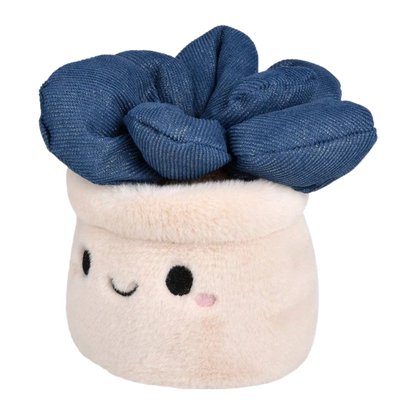 Plush Succulent