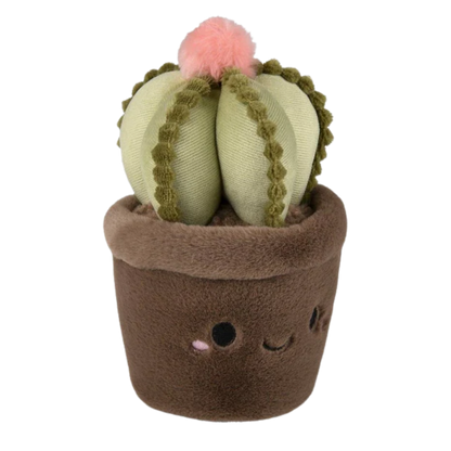 Plush Succulent