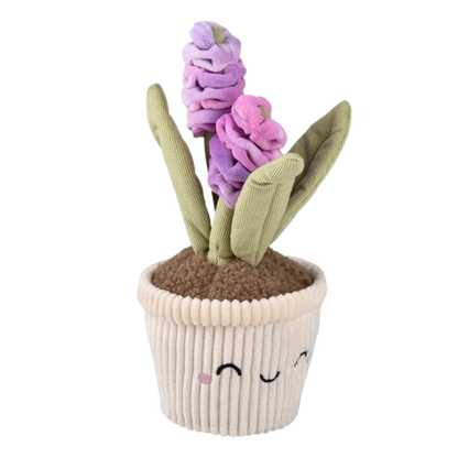Plush Succulent