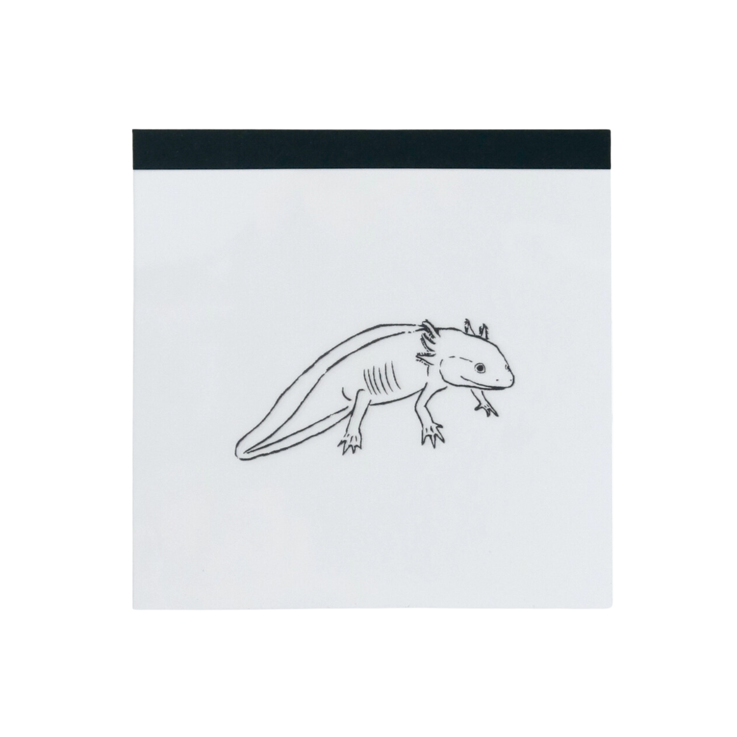 Green Flash Animal Square Memo Pad, Axolotl