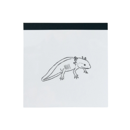 Green Flash Animal Square Memo Pad, Axolotl