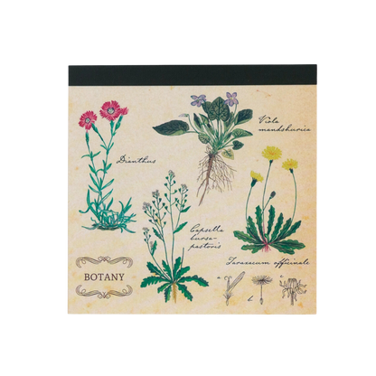 Green Flash Square Memo Pad, Botany