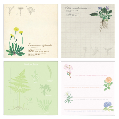 Green Flash Square Memo Pad, Botany