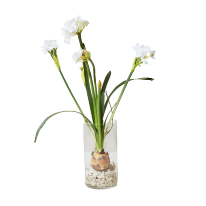 Winter Bulb Kit