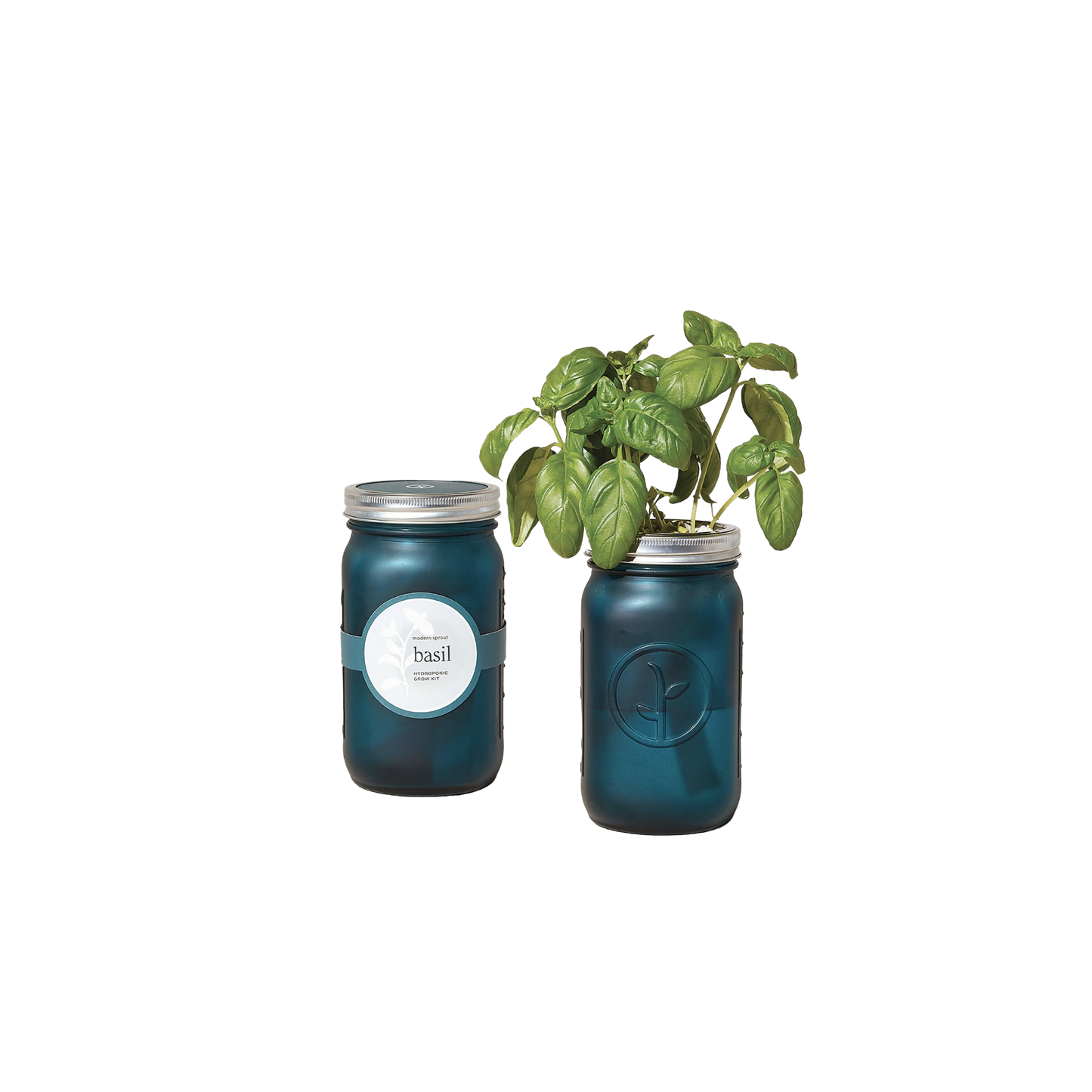 Garden Jar - Organic Basil