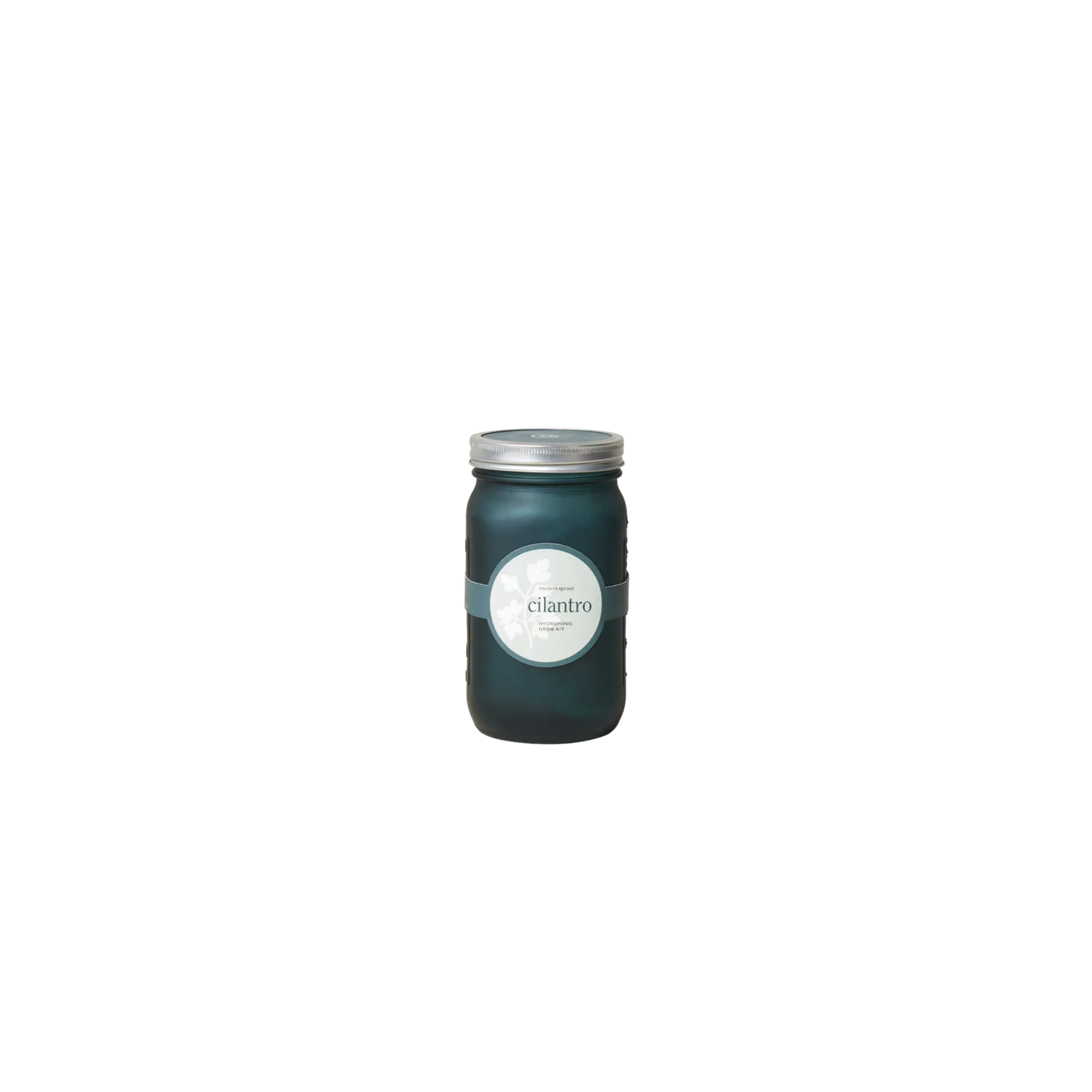 Garden Jar - Organic Cilantro