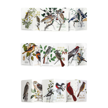 Birds and Trees of North America Field Notes- Pack A: Screech Owl, Blue Jay, Brewer Sparrow