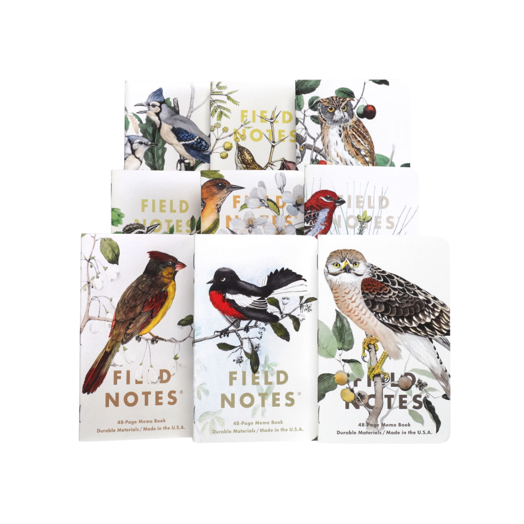 Birds and Trees of North America Field Notes- Pack A: Screech Owl, Blue Jay, Brewer Sparrow