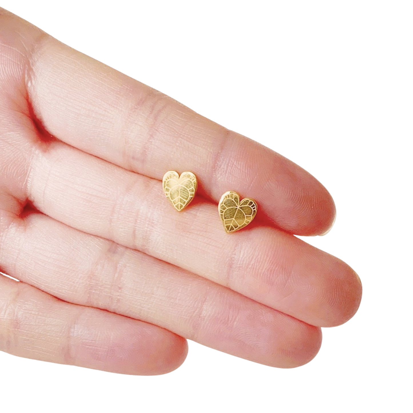 Anthurium Clarinervium Plant Studs