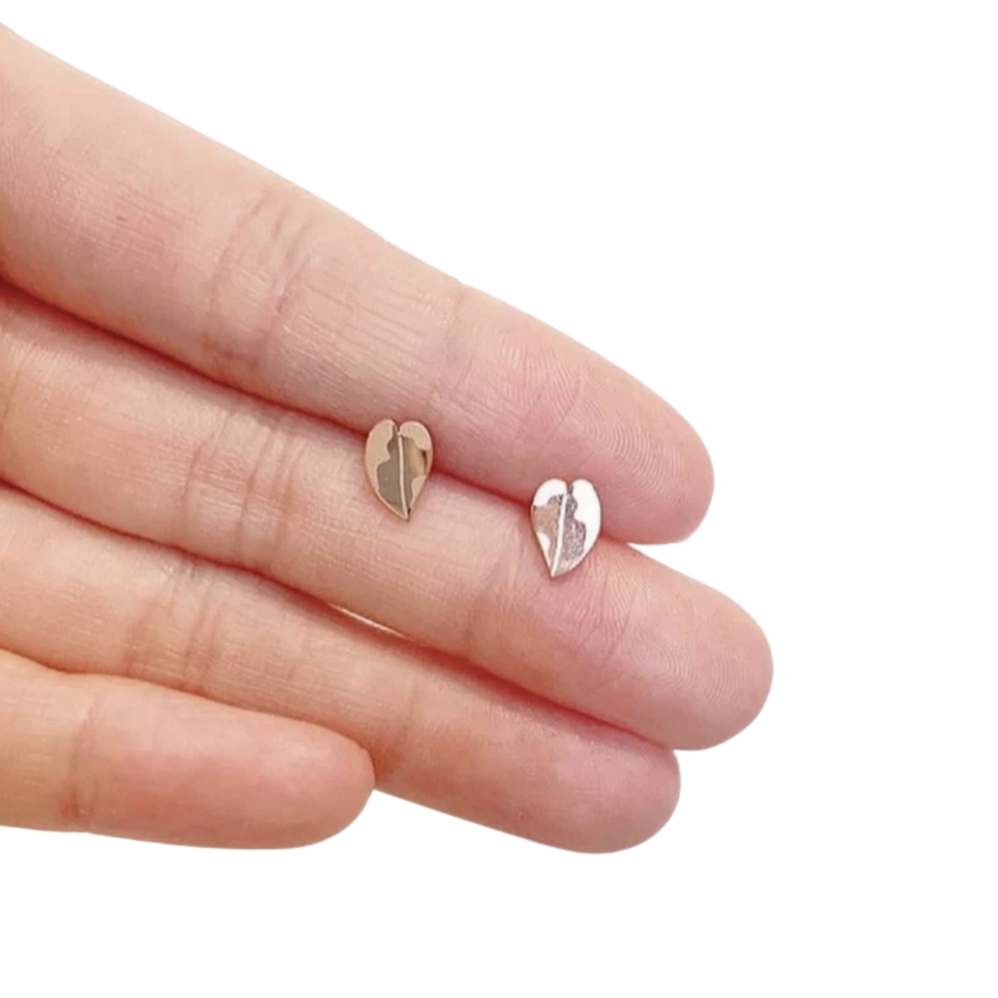 Pink Princess & White Knight Philodendron Plant Studs