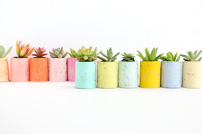 Gold Splatter Plaster Succulent Planter