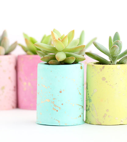 Gold Splatter Plaster Succulent Planter