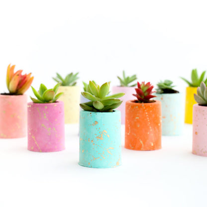 Gold Splatter Plaster Succulent Planter