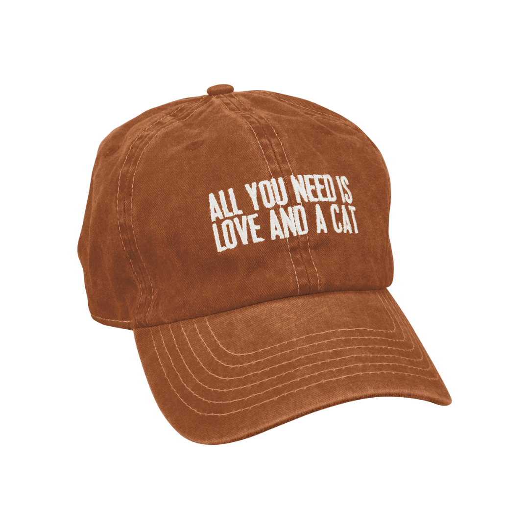 All You Need Is Love and A Cat Baseball Cap