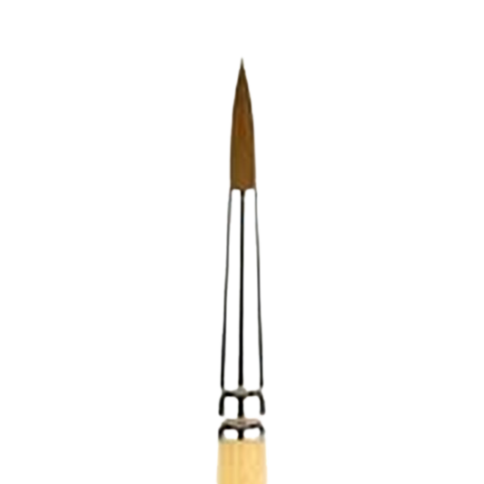 Snap Gold Taklon Short Handle Round 6