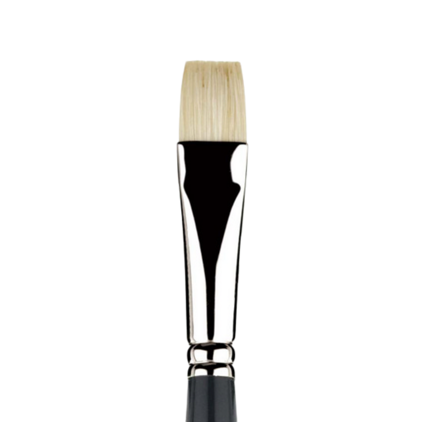 Snap Bristle Long Handle Bright 8