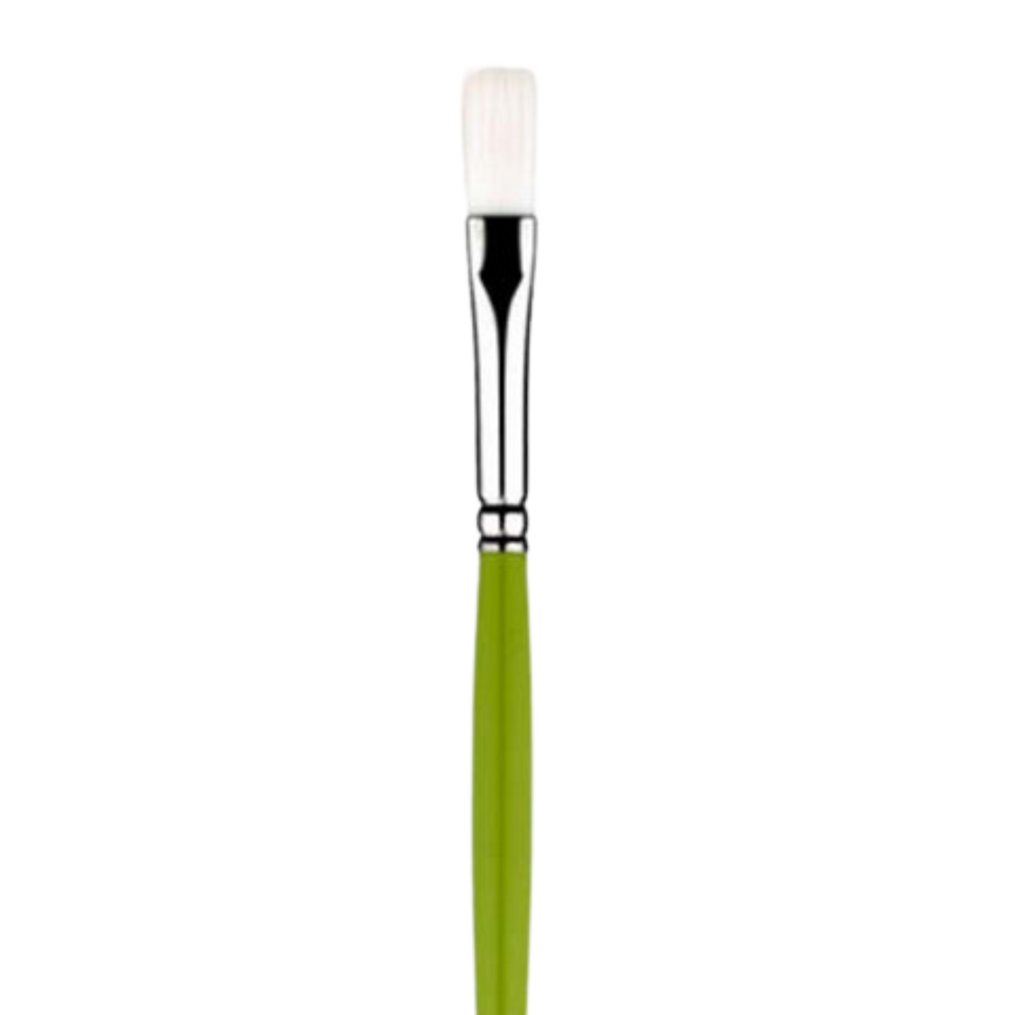 Snap Bristle Long Handle Flat 6