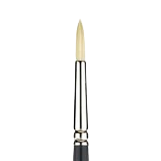 Snap Bristle Long Handle Round 2