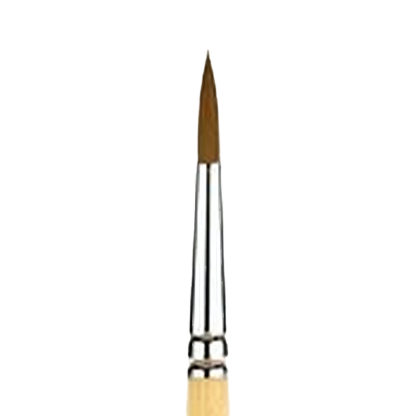 Snap Gold Taklon Short Handle Round 10