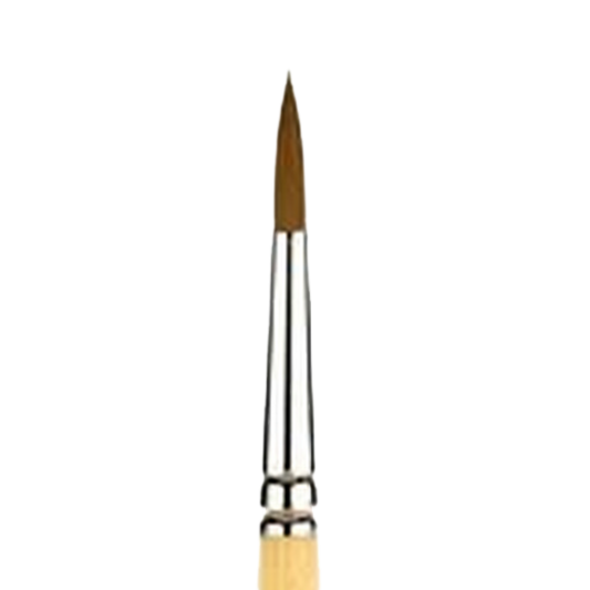 Snap Gold Taklon Short Handle Round 12