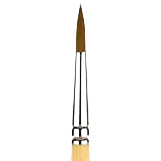 Snap Gold Taklon Short Handle Round 16