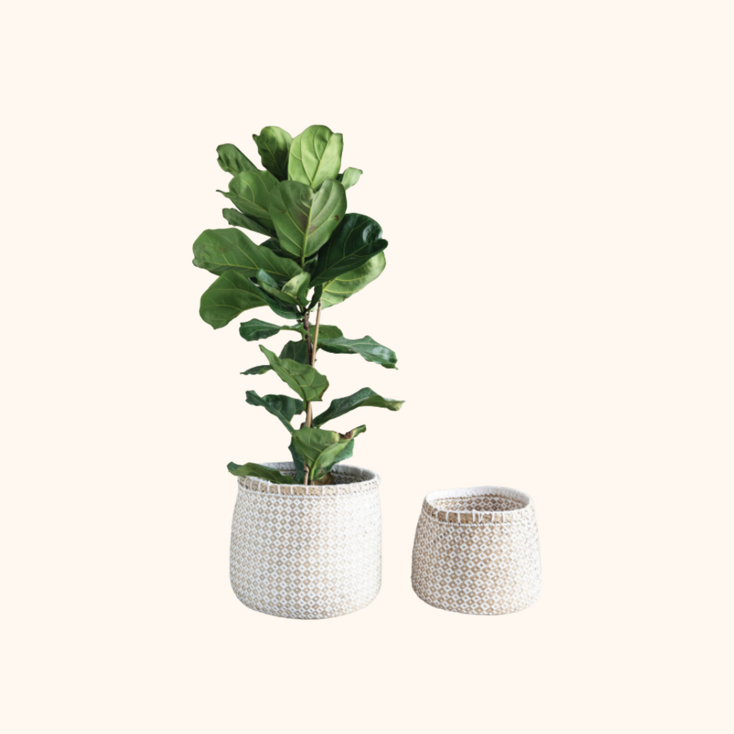 Hand-Woven Baskets with Diamond Pattern White/Beige