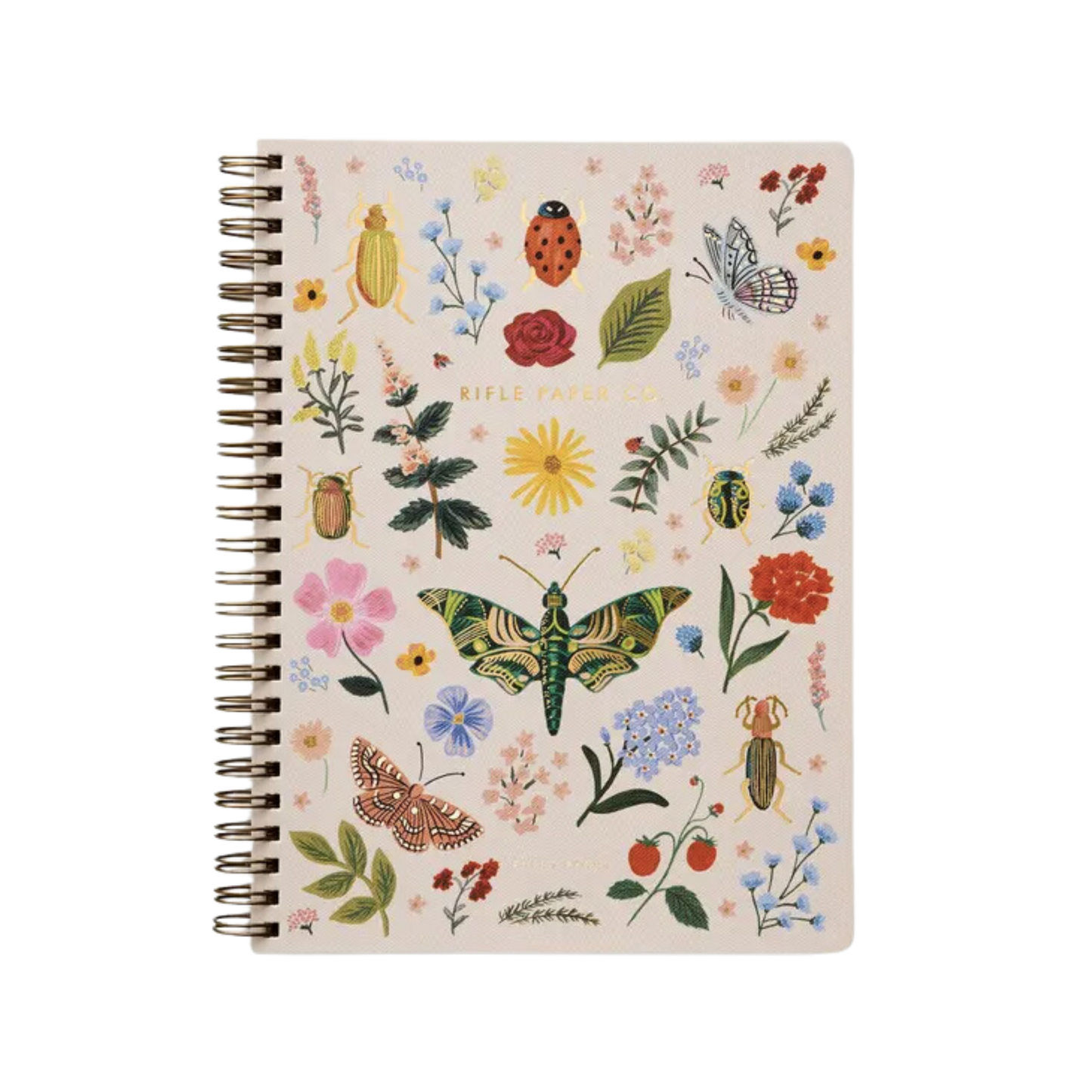 Curio Spiral Notebook