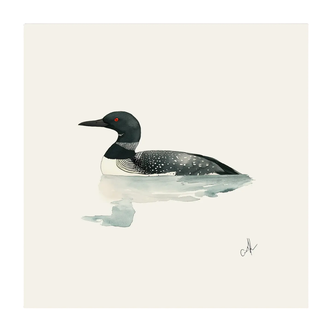 Loon - Unframed Art Print