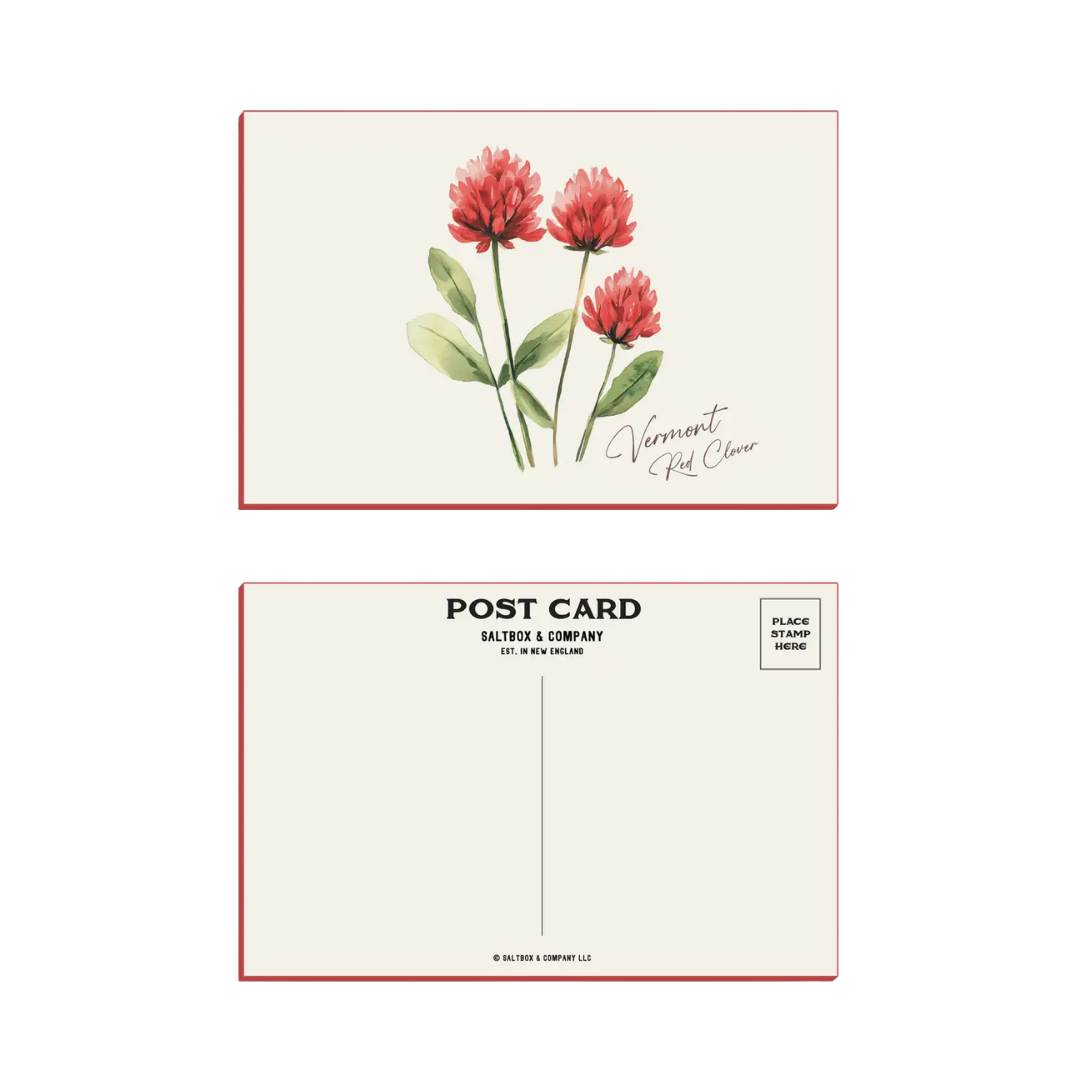 Vermont Red Clover - Box of 6 Postcards