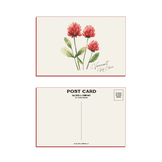 Vermont Red Clover - Box of 6 Postcards