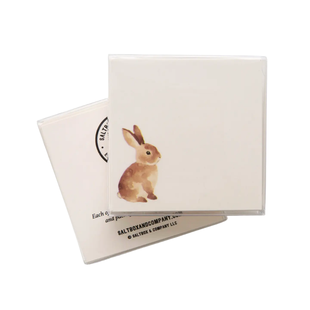 Carmello the Bunny - Box of 50 Mini Notes