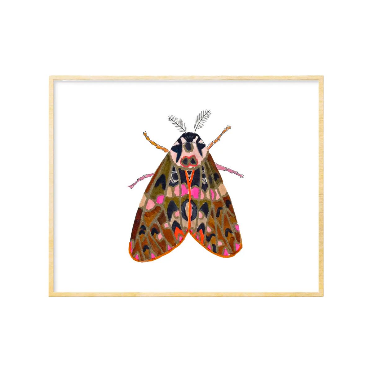 Moth #3 Art Print 8x10 – Daydream Art Supply
