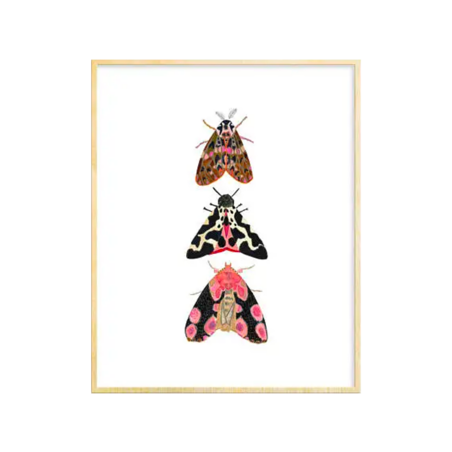 3 Moths Art Print 8x10