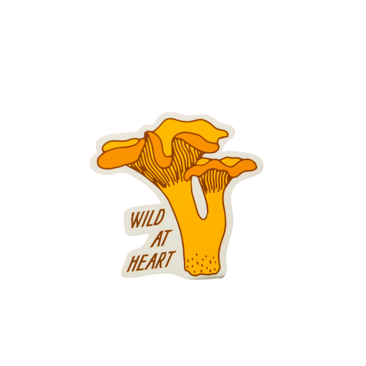 Wild at Heart Chanterelle Sticker