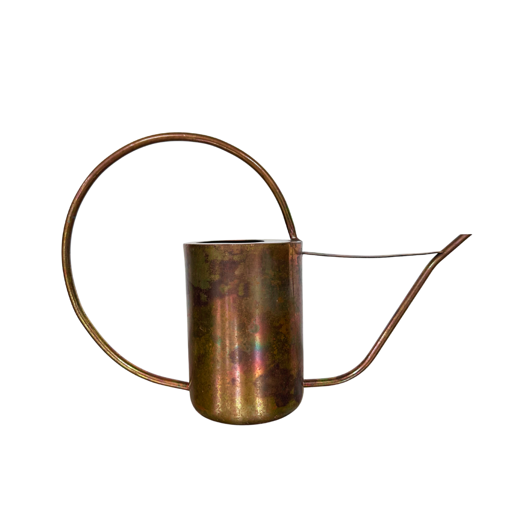Aerus Watering Can
