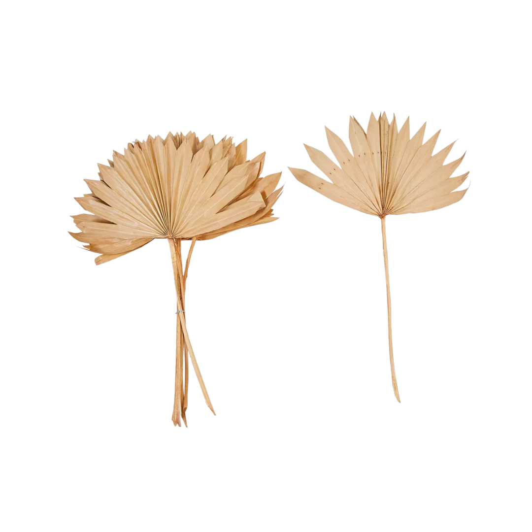 Dried Natural Palm Bunch