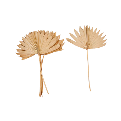 Dried Natural Palm Bunch